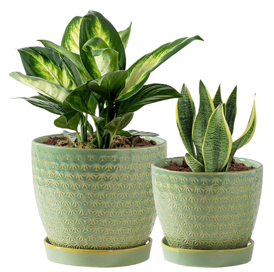 Indoor Flower Pots